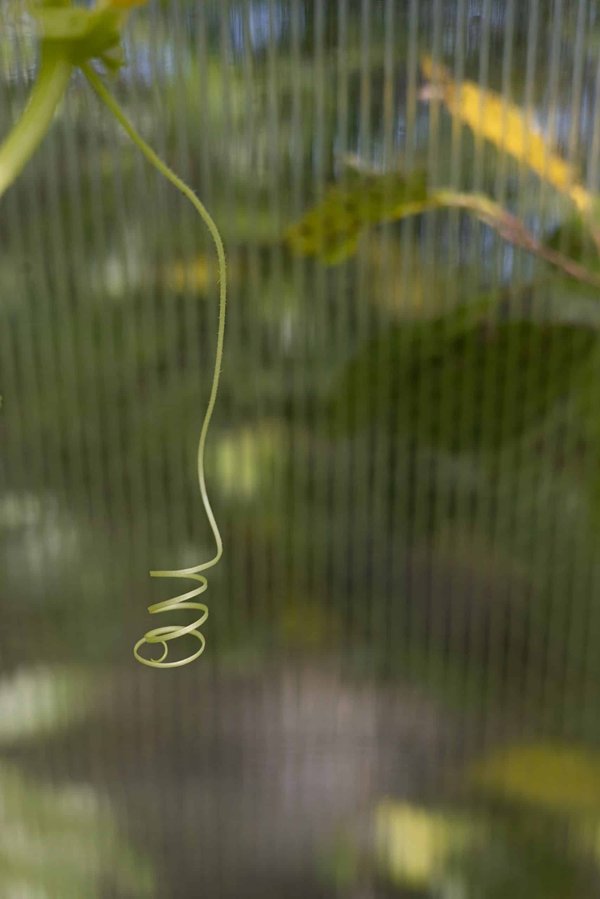 Comment la tragédie grecque est-elle adaptée dans le théâtre moderne ?